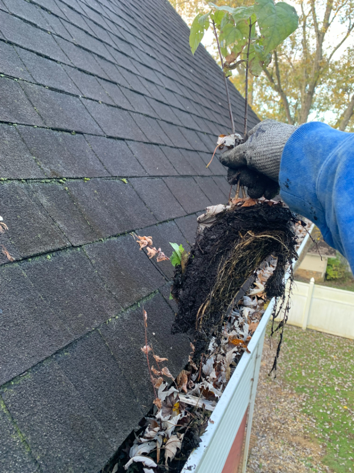 Greeneville remington ct gutter cleaning