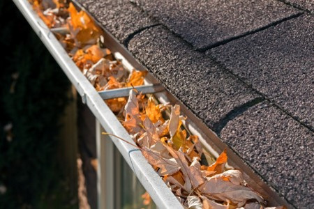 Gutter cleaning