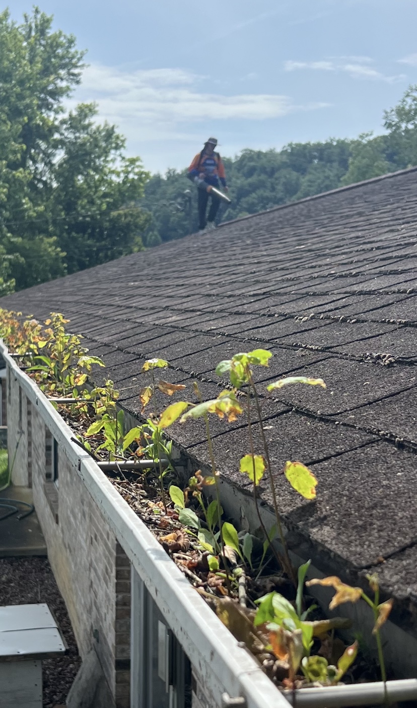 Best Gutter Cleaning in Jonesborough 