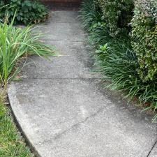 Pressure-Washing-in-Jonesborough-TN 5