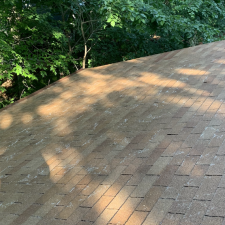 Roof-Cleaning-in-Piney-Flats-TN 1